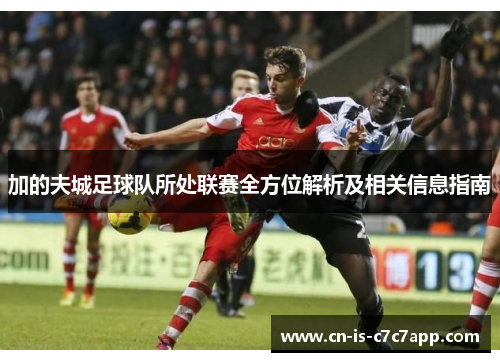 加的夫城足球队所处联赛全方位解析及相关信息指南