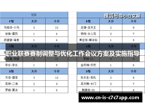 职业联赛赛制调整与优化工作会议方案及实施指导 职业联赛赛制调整与优化工作会议方案及实施指导